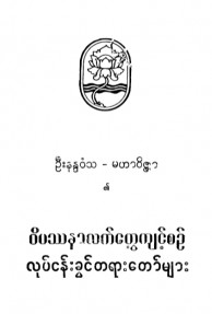 ဝိပဿနာလက်တွေ့ကျင့်စဉ်လုပ်ငန်းခွင် တရားတော်များ