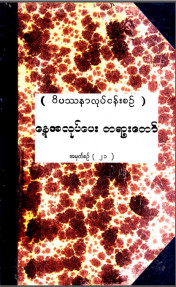 ဝိပဿနာလုပ်ငန်းစဉ်နေ့အလုပ်ပေးတရားတော်  အမှတ် (၂၁)