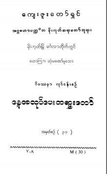 ဝိပဿနာလုပ်ငန်းစဉ်  အမှတ် (၃၀)