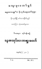 ဝိပဿနာလုပ်ငန်းစဉ်  အမှတ် (၃၀)