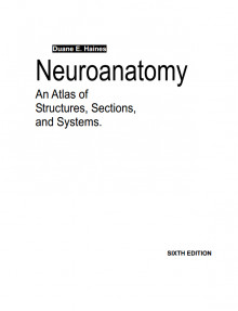 Neuroanatomy,An Atlas of Structures,Sections and Systems