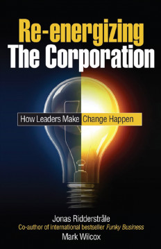 Re-energizing The Corporation:How Leaders Make Change Happen