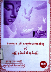 ဝိပဿနာနှင့်လာဘ်ပေးလာဘ်ယူနှင့်နည်းမှန် သပိတ်သွတ်နည်း (၁၄)