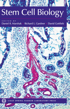 Stem Cell Biology