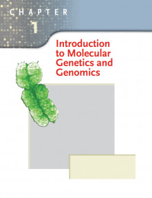 Introduction to Molecular Genetics and Genomics
