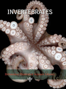 Invertebrates ,Britannica