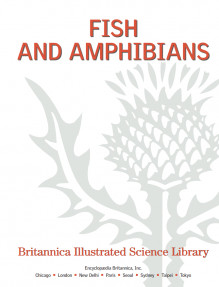 Fish and Amphibians,Britannica Illustrated Science Library