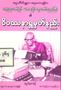 ဝိပဿနာရှုမှတ်နည်း