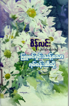 ဖြူစင်ရှင်းသန့်သောရပ်ဝန်းဆီသို့