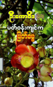 ပတ်ဝန်းကျင်ကမြတ်ဓမ္မ